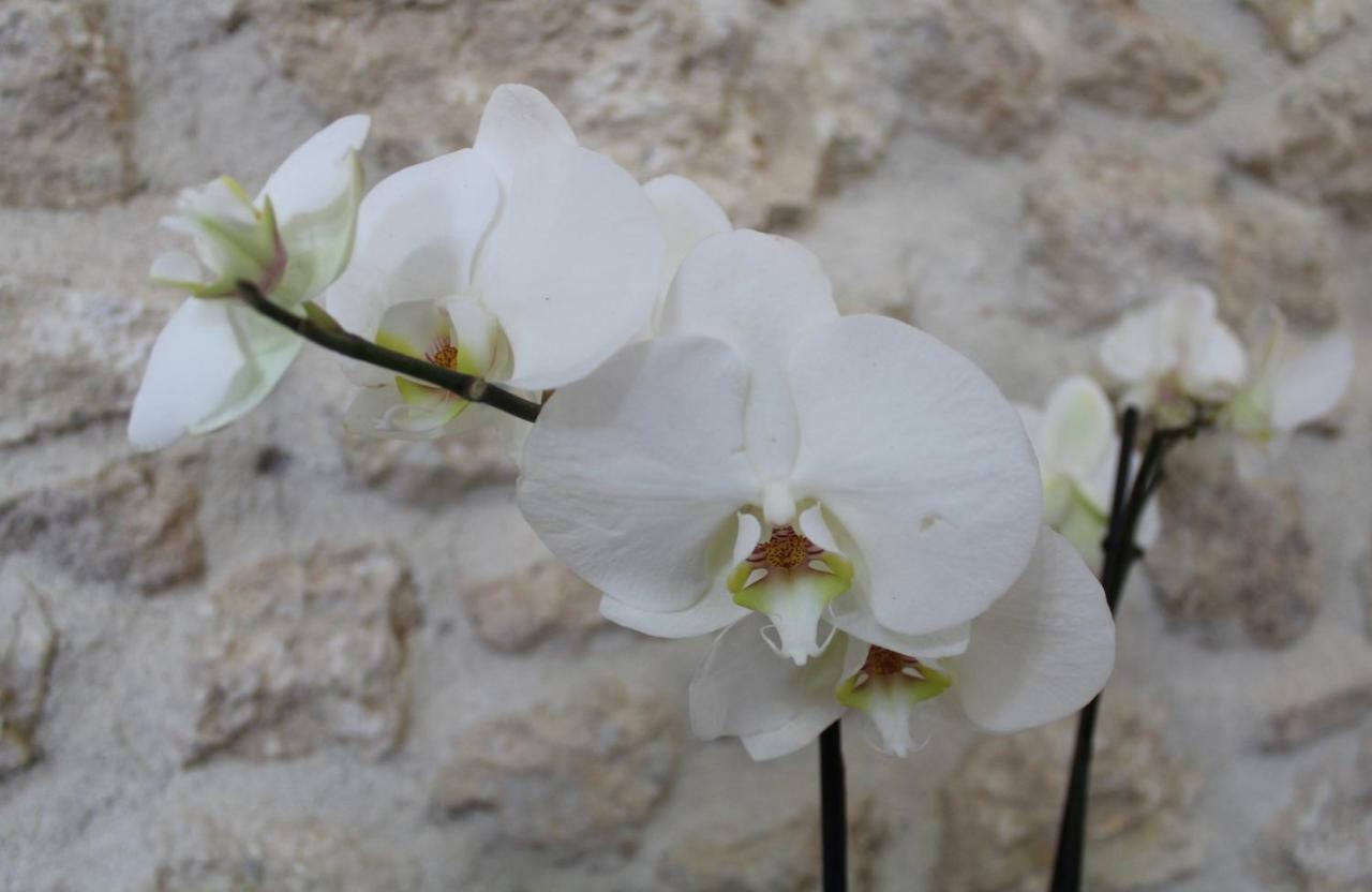 Poggio Bustone Casa San Giacomo מראה חיצוני תמונה